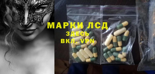 прущие грибы Нягань