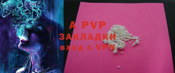 прущие грибы Нягань