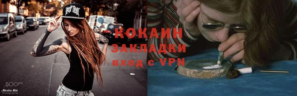 прущие грибы Нягань