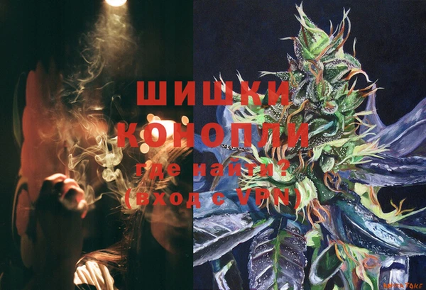 прущие грибы Нягань