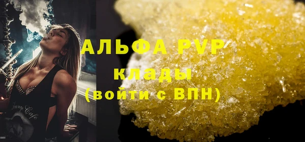 прущие грибы Нягань