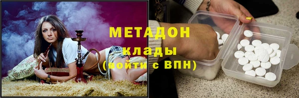 прущие грибы Нягань