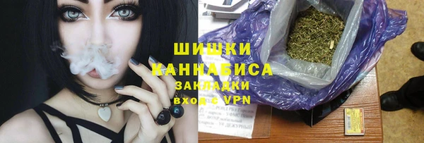 прущие грибы Нягань