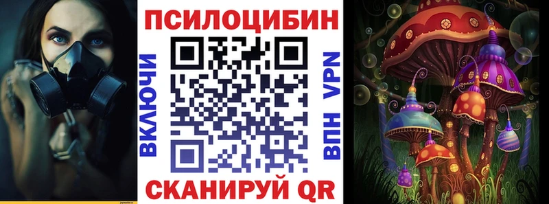 Галлюциногенные грибы Psilocybe Купить Тетюши
